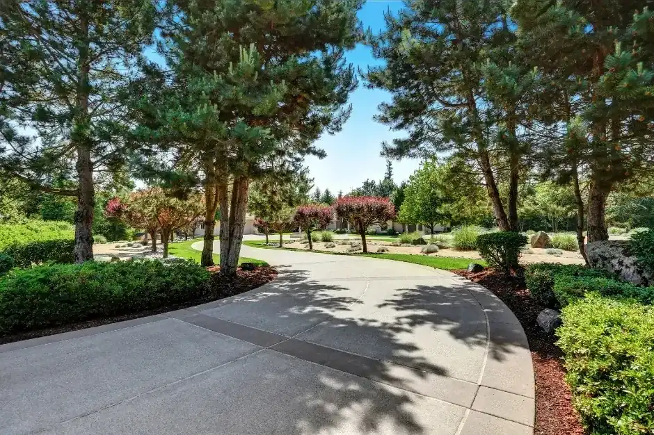 Curved broom-finish concrete driveway winding past trees and landscaping at a Central Florida home